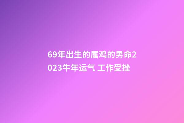 69年出生的属鸡的男命2023牛年运气 工作受挫